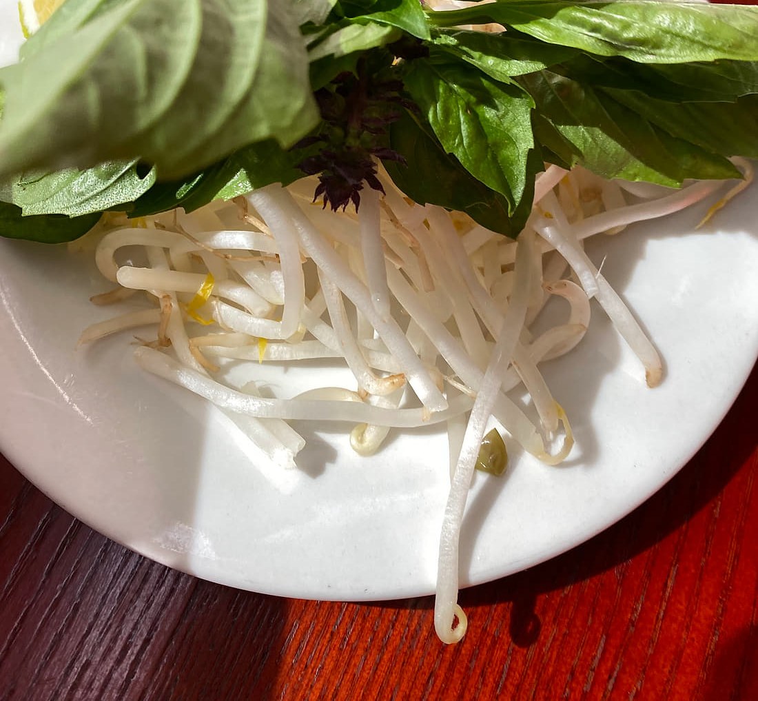 Herb plate with Thai basil and bean sprouts served alongside pho